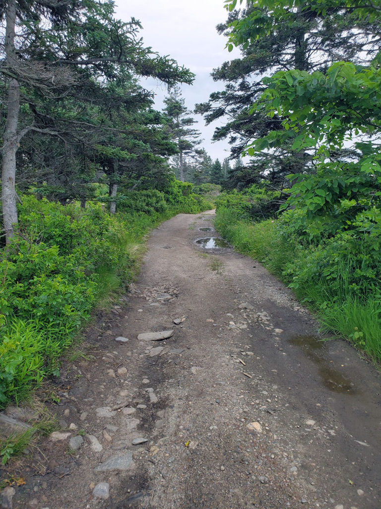 Run on Dirt Roads Pemaquid Point Maine