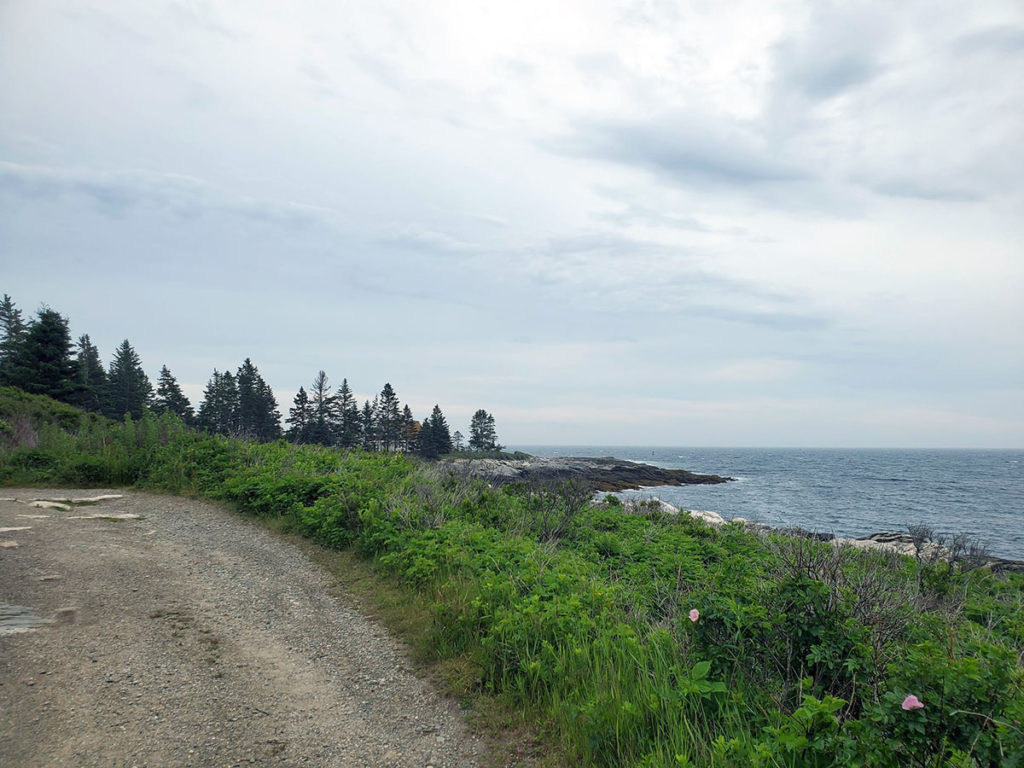 Running in Pemaquid Point Maine