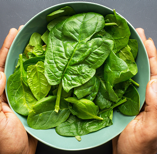 SPINACH HIGH PLANT PROTEIN FOODS FOR FAT LOSS