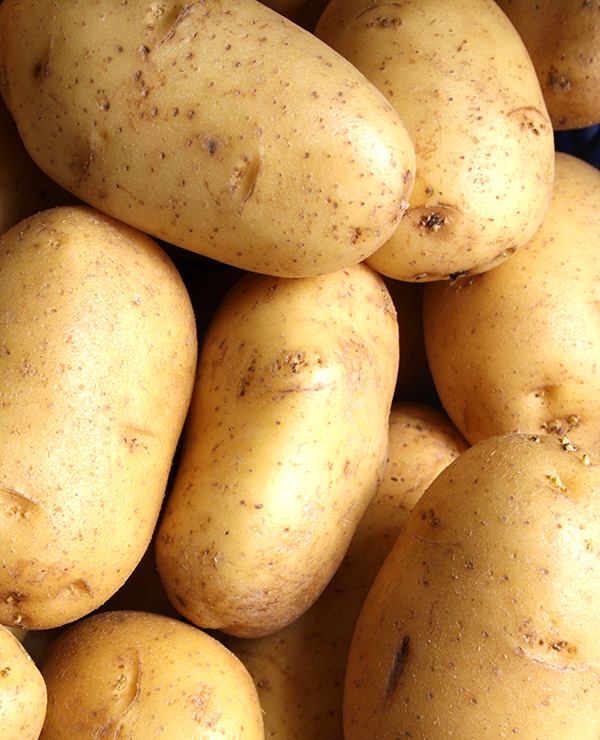 POTATOES ARE A HIGH PROTEIN VEGETABLE