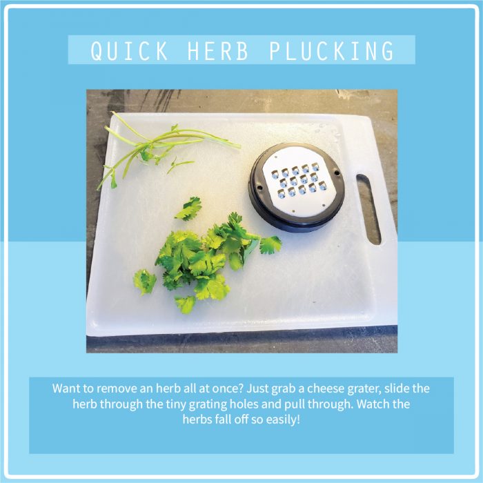 MARCH QUICKLY REMOVE HERBS FROM STEM HACK
